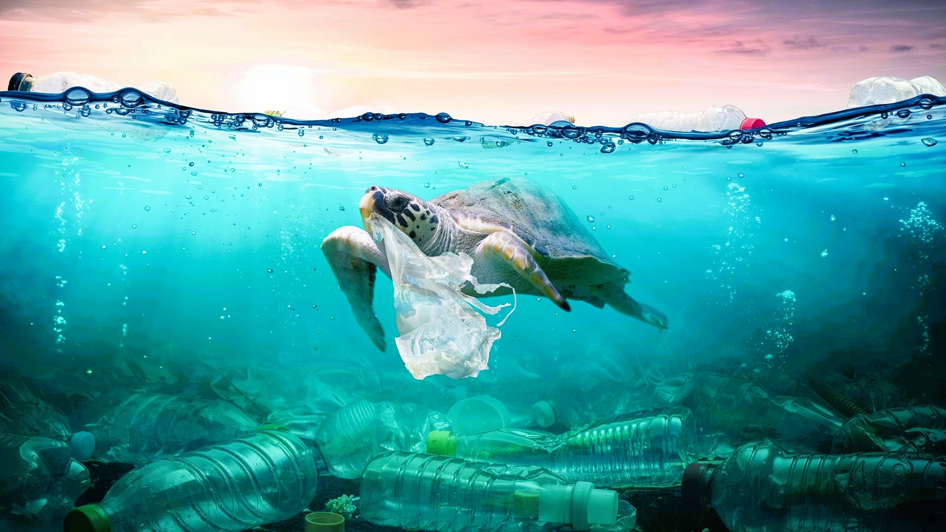 Environmental problems