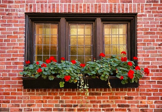 Tinting Home Windows
