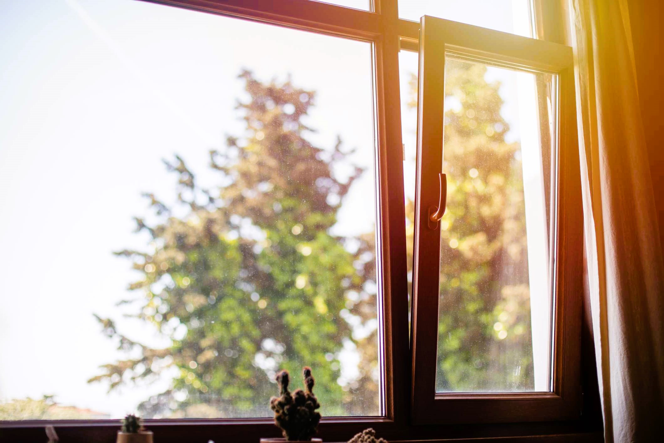 Vinyl windows