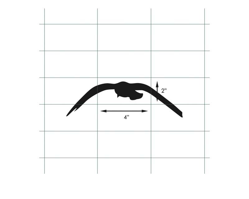 Bird silhouette decal design measured for bird safe window spacing